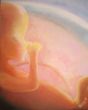 Embryo Kopie.jpg